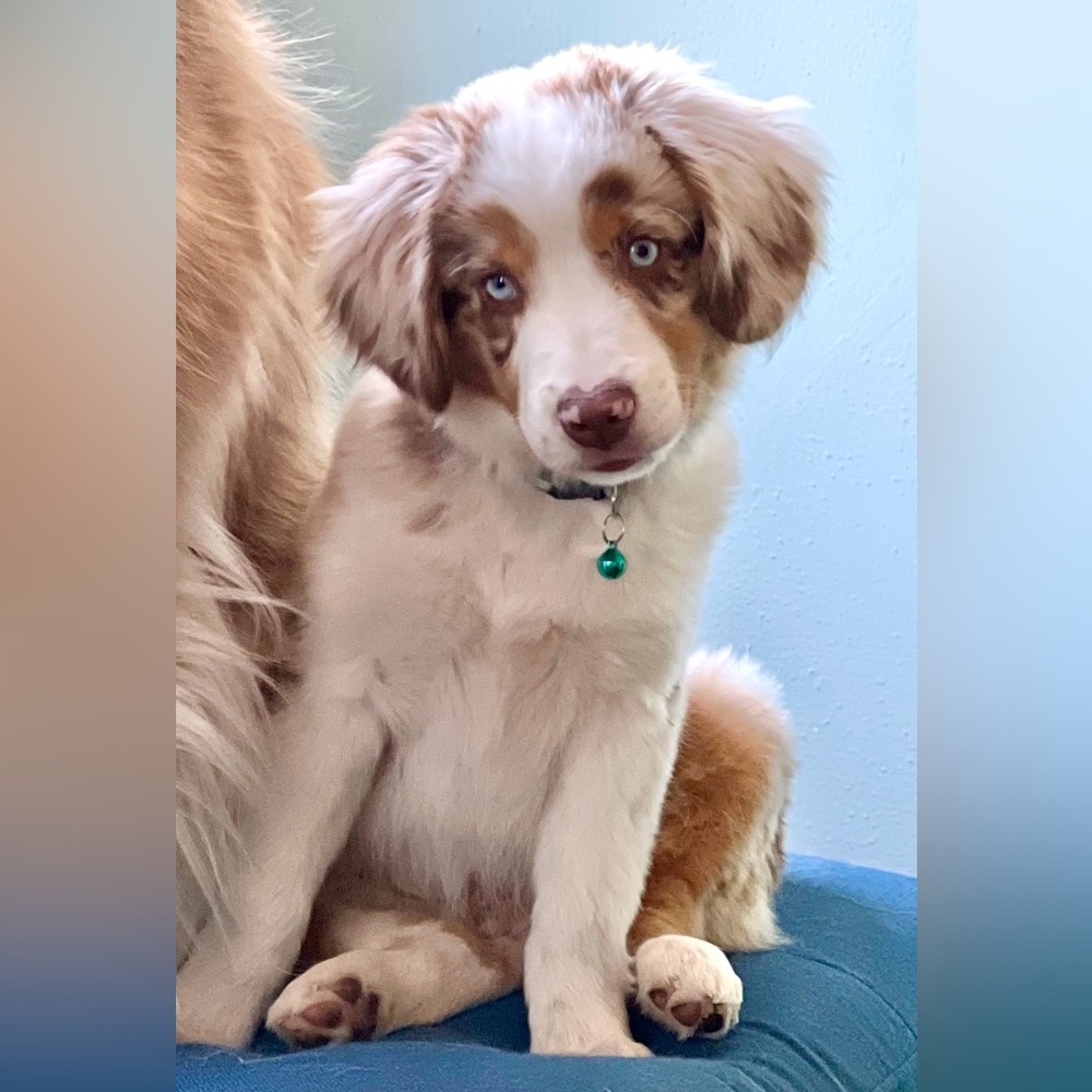 Meet your Posher, Nancy